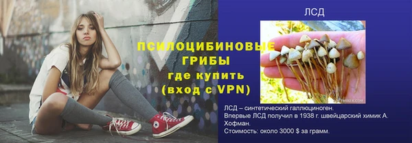 дурь Алзамай