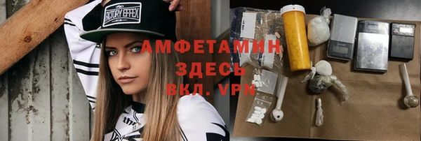 индика Алексин