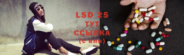 индика Алексин