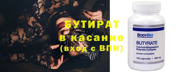 индика Алексин