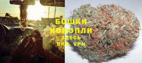 дурь Алзамай