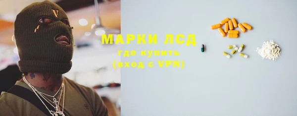 индика Алексин