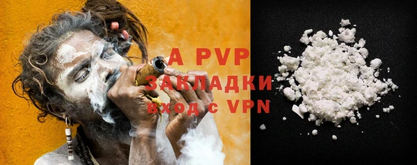 индика Алексин