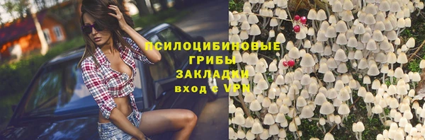 индика Алексин