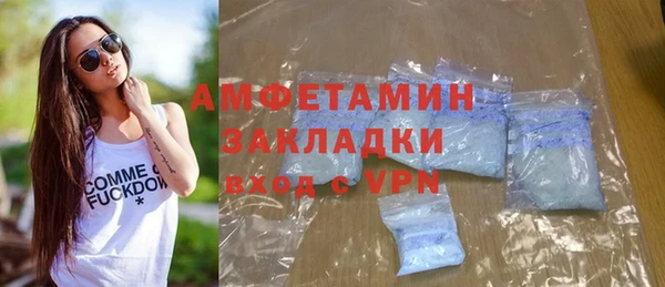 индика Алексин