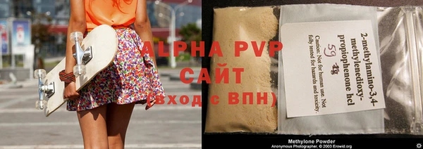 индика Алексин