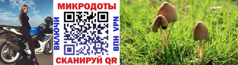 гидра рабочий сайт  Апрелевка  Псилоцибиновые грибы MAGIC MUSHROOMS 